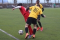 Filename=IMG_9262.JPG
Filesize=159KB
Dimensions=1024x683
Date added=Mar 07, 2017 IMG_9262.JPG