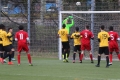 Filename=IMG_9282.JPG
Filesize=246KB
Dimensions=1024x683
Date added=Mar 07, 2017 IMG_9282.JPG