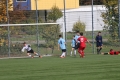 Nom du fichier : IMG_8320.JPG
Poids du fichier : 252KB
Dimensions : 1024x683
Ajouté le : 02 Nov 2016 IMG_8320.JPG