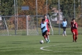 Nom du fichier : IMG_8769.JPG
Poids du fichier : 213KB
Dimensions : 1024x683
Ajouté le : 02 Nov 2016 IMG_8769.JPG