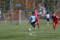 Nom du fichier : IMG_8770.JPG
Poids du fichier : 212KB
Dimensions : 1024x683
Ajouté le : 02 Nov 2016 IMG_8770.JPG