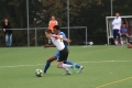 Nom du fichier : IMG_5704.JPG
Poids du fichier : 144KB
Dimensions : 1024x683
Ajouté le : 18 Oct 2016 IMG_5704.JPG