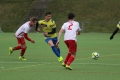 Filename=IMG_3778.JPG
Filesize=143KB
Dimensions=1024x683
Date added=Mar 05, 2017 IMG_3778.JPG