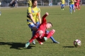 Nom du fichier : IMG_8122.JPG
Poids du fichier : 211KB
Dimensions : 1024x683
Ajouté le : 27 Fev 2017 IMG_8122.JPG