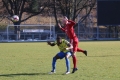 Filename=IMG_8707.JPG
Filesize=216KB
Dimensions=1024x683
Date added=Feb 27, 2017 IMG_8707.JPG