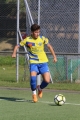 Filename=bmg_0440.JPG
Filesize=196KB
Dimensions=683x1024
Date added=Sep 10, 2016 bmg_0440.JPG
