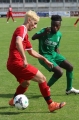 Nom du fichier : JMG_0718.JPG
Poids du fichier : 173KB
Dimensions : 682x1024
Ajouté le : 12 Sep 2016 JMG_0718.JPG