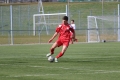 Filename=kmg_3986.JPG
Filesize=170KB
Dimensions=1024x683
Date added=Mar 12, 2014 kmg_3986.JPG