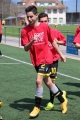 Filename=IMG_3006.JPG
Filesize=201KB
Dimensions=683x1024
Date added=May 11, 2015 IMG_3006.JPG
