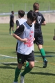 Filename=amg_9341.JPG
Filesize=154KB
Dimensions=683x1024
Date added=May 21, 2015 amg_9341.JPG