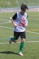 Filename=amg_9351.JPG
Filesize=179KB
Dimensions=683x1024
Date added=May 21, 2015 amg_9351.JPG