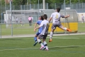 Filename=jmg_0218.JPG
Filesize=178KB
Dimensions=1024x683
Date added=May 20, 2015 jmg_0218.JPG