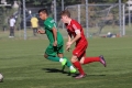 Nom du fichier : JMG_3352.JPG
Poids du fichier : 152KB
Dimensions : 1024x683
Ajouté le : 28 Sep 2017 JMG_3352.JPG