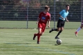 Nom du fichier : JMG_1061.JPG
Poids du fichier : 166KB
Dimensions : 1024x683
Ajouté le : 27 Sep 2017 JMG_1061.JPG