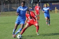 Filename=abd_0310.JPG
Filesize=205KB
Dimensions=1024x683
Date added=Mar 26, 2012 abd_0310.JPG