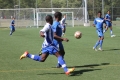 Filename=imx_9913.JPG
Filesize=221KB
Dimensions=1024x683
Date added=Apr 30, 2012 imx_9913.JPG