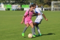 Nom du fichier : IMG_3892.JPG
Poids du fichier : 154KB
Dimensions : 1024x683
Ajouté le : 14 Oct 2015 IMG_3892.JPG