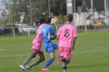 Nom du fichier : IMG_4703.JPG
Poids du fichier : 143KB
Dimensions : 1024x683
Ajouté le : 12 Oct 2015 IMG_4703.JPG