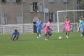 Filename=IMG_4748.JPG
Filesize=183KB
Dimensions=1024x683
Date added=Oct 12, 2015 IMG_4748.JPG