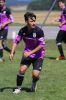 Filename=IMG_0948.JPG
Filesize=149KB
Dimensions=683x1024
Date added=Aug 18, 2016 IMG_0948.JPG