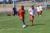 Filename=IMG_1010.JPG
Filesize=215KB
Dimensions=1024x683
Date added=Aug 18, 2016 IMG_1010.JPG