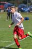 Filename=IMG_1067.JPG
Filesize=137KB
Dimensions=683x1024
Date added=Aug 18, 2016 IMG_1067.JPG