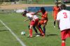 Filename=IMG_1073.JPG
Filesize=198KB
Dimensions=1024x683
Date added=Aug 18, 2016 IMG_1073.JPG
