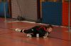 Filename=Tournoi08Oron_A_028.JPG
Filesize=232KB
Dimensions=1024x683
Date added=Feb 03, 2009 Tournoi08Oron_A_028.JPG